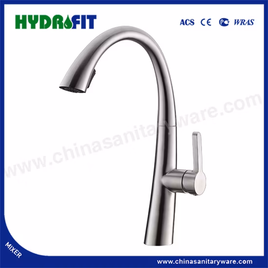 安いシリコン注ぎ口純粋な 304 ステンレス鋼飲料水蛇口 (FT1478D)