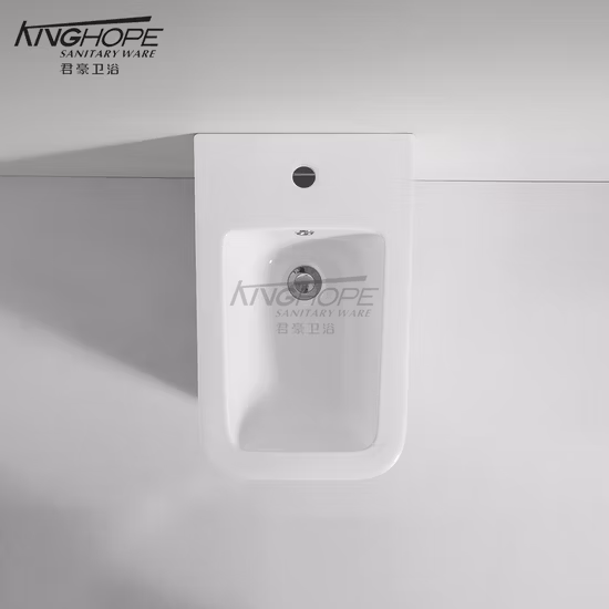 バスルーム用クロムメッキを施した高品質真鍮ビデ06